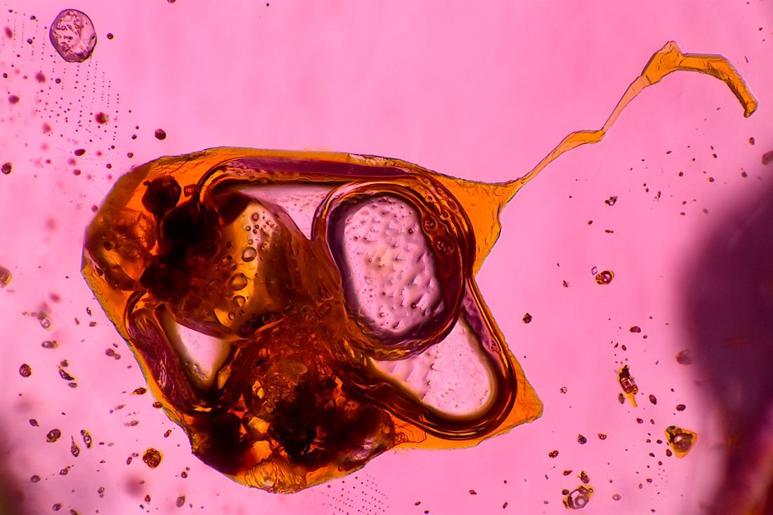 A photomicrograph of a multi-phase inclusion inside a gemstone: a cavity holding liquid, a gas bubble and a solid crystal, seen at high magnification